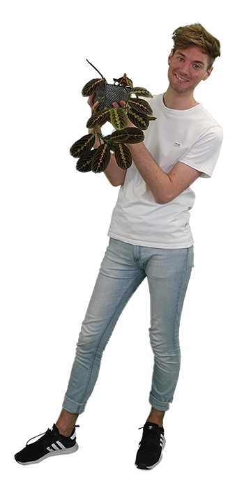Tim